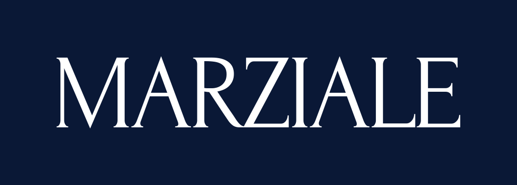 Marziale wordmark, white on navy